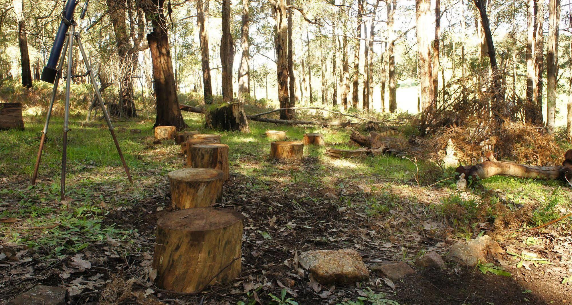 Balingup Heights Hilltop Forest Cottages Extérieur photo